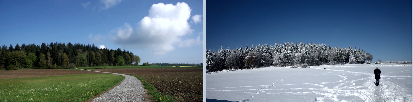 Unsere Position zum Baugebiet